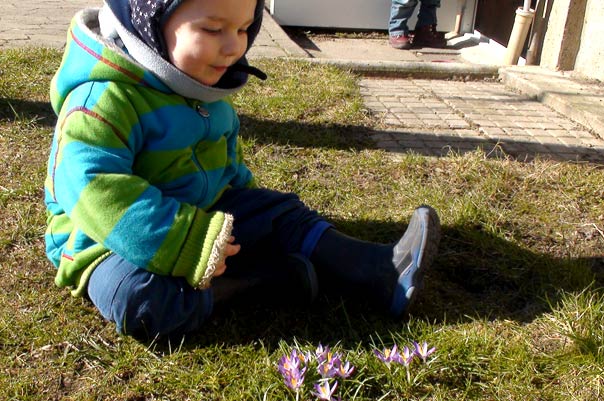 Kindertagespflege Tagesmütter Braunschweig: Frühling bei TiQ! Tagespflege in Querum