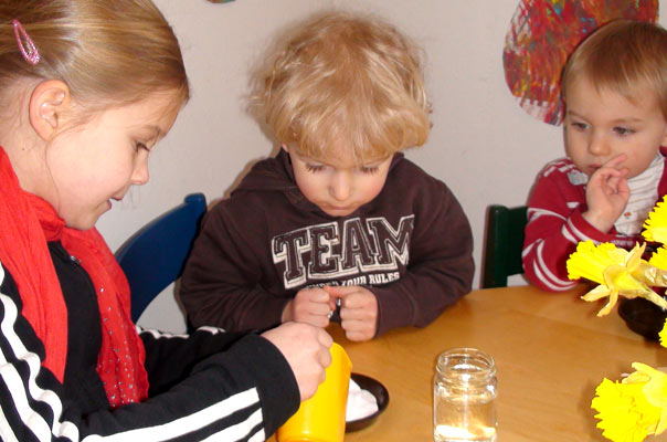 Kindertagespflege Tagesmutter Braunschweig: Kresse säen bei TiQ! in Querum.