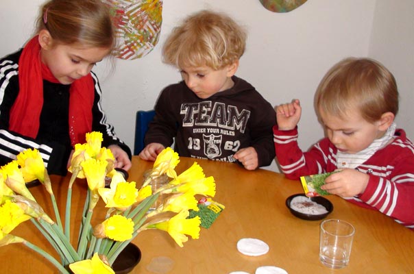 Kindertagespflege Tagesmutter Braunschweig: Kresse säen bei TiQ! in Querum.