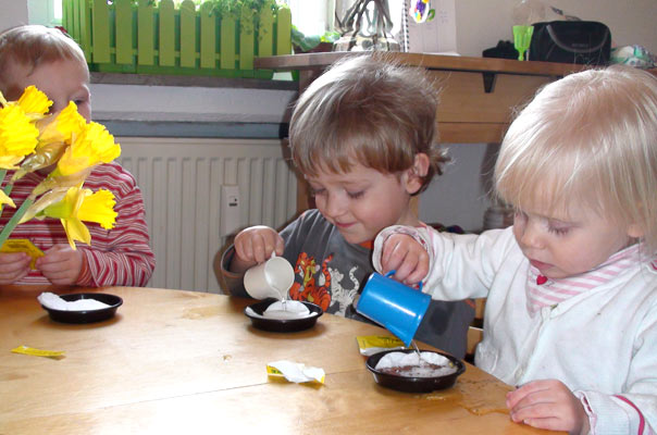 Kindertagespflege Tagesmutter Braunschweig: Kresse säen bei TiQ! in Querum.