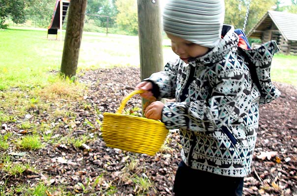 Bunte Tageskinder und buntes Herbstlaub ? TiQ! Tagespflege in Querum Nicole Appel und Antje Storek, Kindertagespflege Tagesmutter Großtagespflege Braunschweig Querum