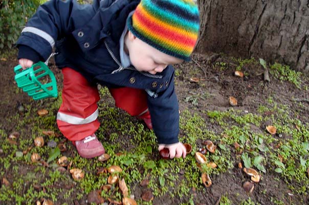 Kastanienmännchen für Braunschweig ? TiQ! Tagespflege in Querum Nicole Appel und Antje Storek, Kindertagespflege Tagesmutter Großtagespflege Braunschweig Querum