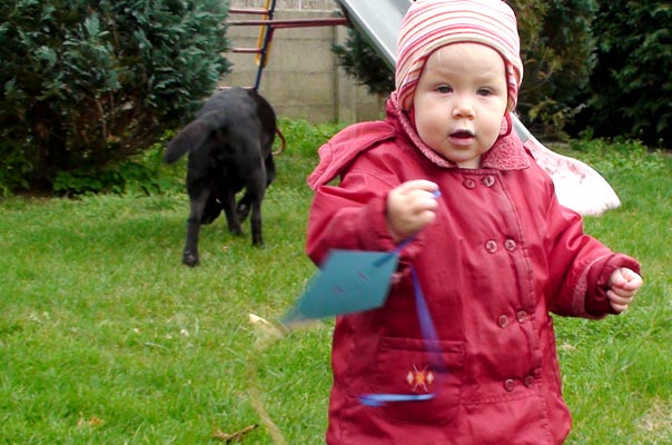 Viel Drachen, wenig Wind – TiQ! Tagespflege in Querum Nicole Appel und Antje Storek, Kindertagespflege Tagesmutter Großtagespflege Braunschweig Querum