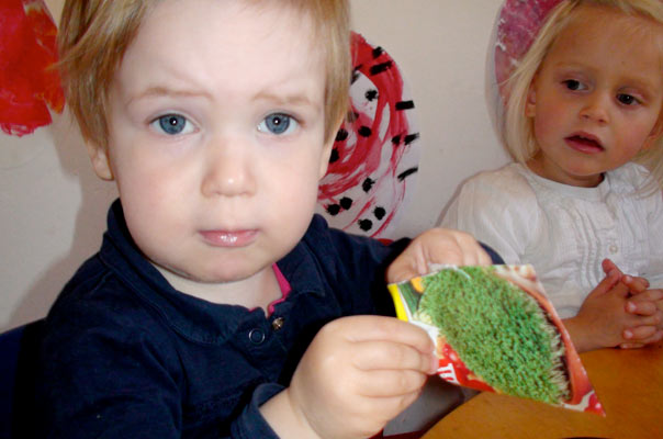 Es grünt so grün: Tageskinder säen Kresse. TiQ! Tagespflege in Braunschweig Querum, Nicole Appel und Antje Storek – Kindertagespflege, Tagesmutter und Großtagespflege für Braunschweig Querum, Gliesmarode, Riddagshausen, Östliches Ringgebiet, Volkmarode, Bienrode, Waggum, Hondelage, Schuntersiedlung, Kralenriede, Dibbesdorf, Schwarzer Berg, Siegfriedviertel, Nordstadt und Schapen