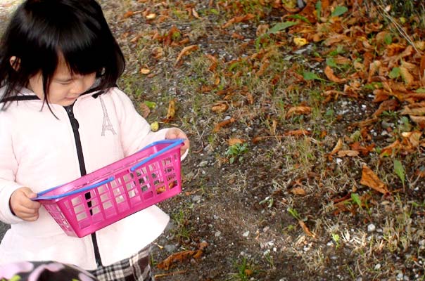 Indian Summer in Braunschweig! TiQ! Tagespflege in Braunschweig Querum, Nicole Appel und Antje Storek – Kindertagespflege, Tagesmutter und Großtagespflege für Braunschweig Querum, Gliesmarode, Riddagshausen, Östliches Ringgebiet, Volkmarode, Bienrode, Waggum, Hondelage, Schuntersiedlung, Kralenriede, Dibbesdorf, Schwarzer Berg, Siegfriedviertel, Nordstadt und Schapen