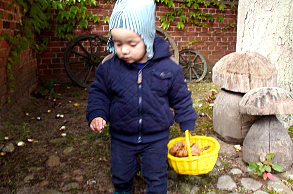 Indian Summer in Braunschweig! TiQ! Tagespflege in Braunschweig Querum, Nicole Appel und Antje Storek – Kindertagespflege, Tagesmutter und Großtagespflege für Braunschweig Querum, Gliesmarode, Riddagshausen, Östliches Ringgebiet, Volkmarode, Bienrode, Waggum, Hondelage, Schuntersiedlung, Kralenriede, Dibbesdorf, Schwarzer Berg, Siegfriedviertel, Nordstadt und Schapen