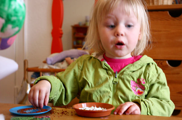 Schnee? Nicht mit uns! Tageskinder säen Kresse. TiQ! Kindertagespflege in Braunschweig Querum, Nicole Appel und Antje Storek – Kindertagespflege, Tagesmutter und Großtagespflege für Braunschweig Querum, Gliesmarode, Riddagshausen, Östliches Ringgebiet, Volkmarode, Bienrode, Waggum, Hondelage, Schuntersiedlung, Kralenriede, Dibbesdorf, Schwarzer Berg, Siegfriedviertel, Nordstadt und Schapen