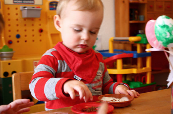 Schnee? Nicht mit uns! Tageskinder säen Kresse. TiQ! Kindertagespflege in Braunschweig Querum, Nicole Appel und Antje Storek – Kindertagespflege, Tagesmutter und Großtagespflege für Braunschweig Querum, Gliesmarode, Riddagshausen, Östliches Ringgebiet, Volkmarode, Bienrode, Waggum, Hondelage, Schuntersiedlung, Kralenriede, Dibbesdorf, Schwarzer Berg, Siegfriedviertel, Nordstadt und Schapen