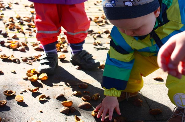 Kastanienigelrückwärts. TiQ! Kindertagespflege in Braunschweig Querum, Nicole Appel und Antje Storek – Kindertagespflege, Tagesmutter und Großtagespflege für Braunschweig Querum, Gliesmarode, Riddagshausen, Östliches Ringgebiet, Volkmarode, Bienrode, Waggum, Hondelage, Schuntersiedlung, Kralenriede, Dibbesdorf, Schwarzer Berg, Siegfriedviertel, Nordstadt und Schapen