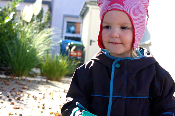 Kastanienigelrückwärts. TiQ! Kindertagespflege in Braunschweig Querum, Nicole Appel und Antje Storek – Kindertagespflege, Tagesmutter und Großtagespflege für Braunschweig Querum, Gliesmarode, Riddagshausen, Östliches Ringgebiet, Volkmarode, Bienrode, Waggum, Hondelage, Schuntersiedlung, Kralenriede, Dibbesdorf, Schwarzer Berg, Siegfriedviertel, Nordstadt und Schapen