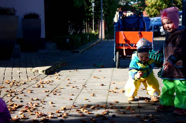 Kastanienigelrückwärts. TiQ! Kindertagespflege in Braunschweig Querum, Nicole Appel und Antje Storek – Kindertagespflege, Tagesmutter und Großtagespflege für Braunschweig Querum, Gliesmarode, Riddagshausen, Östliches Ringgebiet, Volkmarode, Bienrode, Waggum, Hondelage, Schuntersiedlung, Kralenriede, Dibbesdorf, Schwarzer Berg, Siegfriedviertel, Nordstadt und Schapen