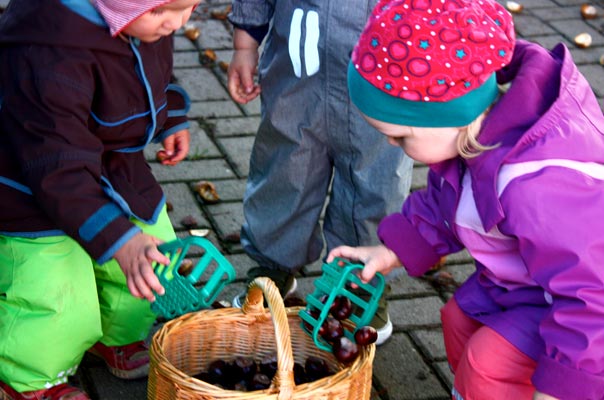 Kastanienigelrückwärts. TiQ! Kindertagespflege in Braunschweig Querum, Nicole Appel und Antje Storek – Kindertagespflege, Tagesmutter und Großtagespflege für Braunschweig Querum, Gliesmarode, Riddagshausen, Östliches Ringgebiet, Volkmarode, Bienrode, Waggum, Hondelage, Schuntersiedlung, Kralenriede, Dibbesdorf, Schwarzer Berg, Siegfriedviertel, Nordstadt und Schapen