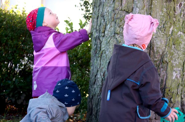 Kastanienigelrückwärts. TiQ! Kindertagespflege in Braunschweig Querum, Nicole Appel und Antje Storek – Kindertagespflege, Tagesmutter und Großtagespflege für Braunschweig Querum, Gliesmarode, Riddagshausen, Östliches Ringgebiet, Volkmarode, Bienrode, Waggum, Hondelage, Schuntersiedlung, Kralenriede, Dibbesdorf, Schwarzer Berg, Siegfriedviertel, Nordstadt und Schapen