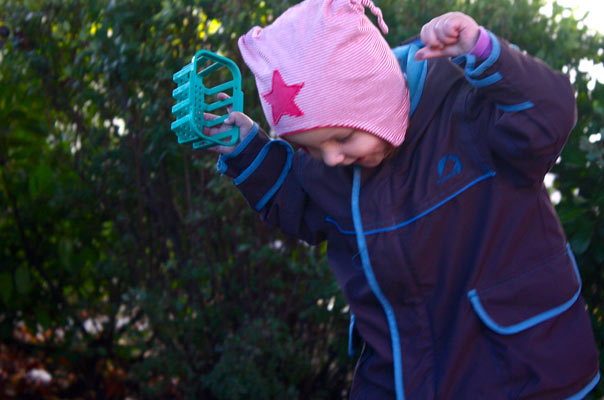 Kastanienigelrückwärts. TiQ! Kindertagespflege in Braunschweig Querum, Nicole Appel und Antje Storek – Kindertagespflege, Tagesmutter und Großtagespflege für Braunschweig Querum, Gliesmarode, Riddagshausen, Östliches Ringgebiet, Volkmarode, Bienrode, Waggum, Hondelage, Schuntersiedlung, Kralenriede, Dibbesdorf, Schwarzer Berg, Siegfriedviertel, Nordstadt und Schapen