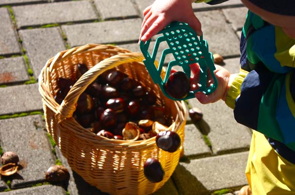 Kastanienigelrückwärts. TiQ! Kindertagespflege in Braunschweig Querum, Nicole Appel und Antje Storek – Kindertagespflege, Tagesmutter und Großtagespflege für Braunschweig Querum, Gliesmarode, Riddagshausen, Östliches Ringgebiet, Volkmarode, Bienrode, Waggum, Hondelage, Schuntersiedlung, Kralenriede, Dibbesdorf, Schwarzer Berg, Siegfriedviertel, Nordstadt und Schapen