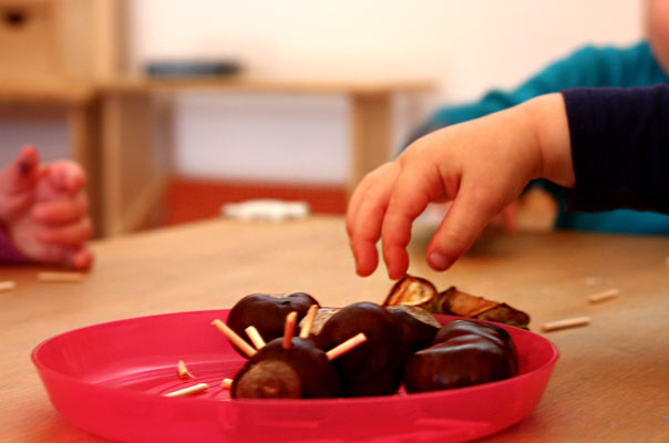 Kastanienigelrückwärts. TiQ! Kindertagespflege in Braunschweig Querum, Nicole Appel und Antje Storek – Kindertagespflege, Tagesmutter und Großtagespflege für Braunschweig Querum, Gliesmarode, Riddagshausen, Östliches Ringgebiet, Volkmarode, Bienrode, Waggum, Hondelage, Schuntersiedlung, Kralenriede, Dibbesdorf, Schwarzer Berg, Siegfriedviertel, Nordstadt und Schapen