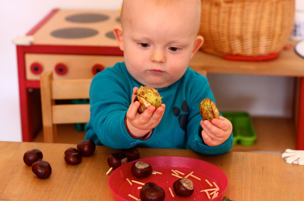 Kastanienigelrückwärts. TiQ! Kindertagespflege in Braunschweig Querum, Nicole Appel und Antje Storek – Kindertagespflege, Tagesmutter und Großtagespflege für Braunschweig Querum, Gliesmarode, Riddagshausen, Östliches Ringgebiet, Volkmarode, Bienrode, Waggum, Hondelage, Schuntersiedlung, Kralenriede, Dibbesdorf, Schwarzer Berg, Siegfriedviertel, Nordstadt und Schapen