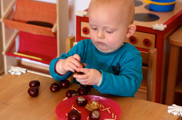 Kastanienigelrückwärts. TiQ! Kindertagespflege in Braunschweig Querum, Nicole Appel und Antje Storek – Kindertagespflege, Tagesmutter und Großtagespflege für Braunschweig Querum, Gliesmarode, Riddagshausen, Östliches Ringgebiet, Volkmarode, Bienrode, Waggum, Hondelage, Schuntersiedlung, Kralenriede, Dibbesdorf, Schwarzer Berg, Siegfriedviertel, Nordstadt und Schapen