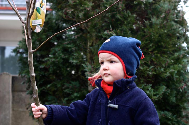 Von Ribbeck reloaded - Tageskinder pflanzen einen Birnbaum! TiQ! Kindertagespflege in Braunschweig Querum, Nicole Appel und Antje Storek – Kindertagespflege, Tagesmutter und Großtagespflege für Braunschweig Querum, Gliesmarode, Riddagshausen, Östliches Ringgebiet, Volkmarode, Bienrode, Waggum, Hondelage, Schuntersiedlung, Kralenriede, Dibbesdorf, Schwarzer Berg, Siegfriedviertel, Nordstadt und Schapen