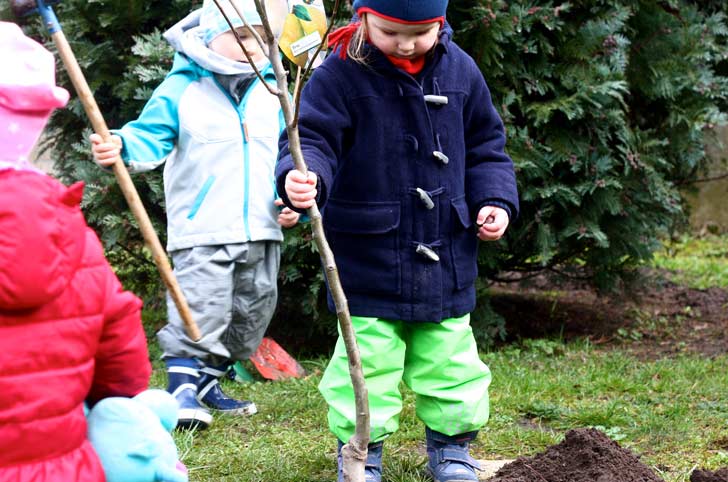 Von Ribbeck reloaded - Tageskinder pflanzen einen Birnbaum! TiQ! Kindertagespflege in Braunschweig Querum, Nicole Appel und Antje Storek – Kindertagespflege, Tagesmutter und Großtagespflege für Braunschweig Querum, Gliesmarode, Riddagshausen, Östliches Ringgebiet, Volkmarode, Bienrode, Waggum, Hondelage, Schuntersiedlung, Kralenriede, Dibbesdorf, Schwarzer Berg, Siegfriedviertel, Nordstadt und Schapen