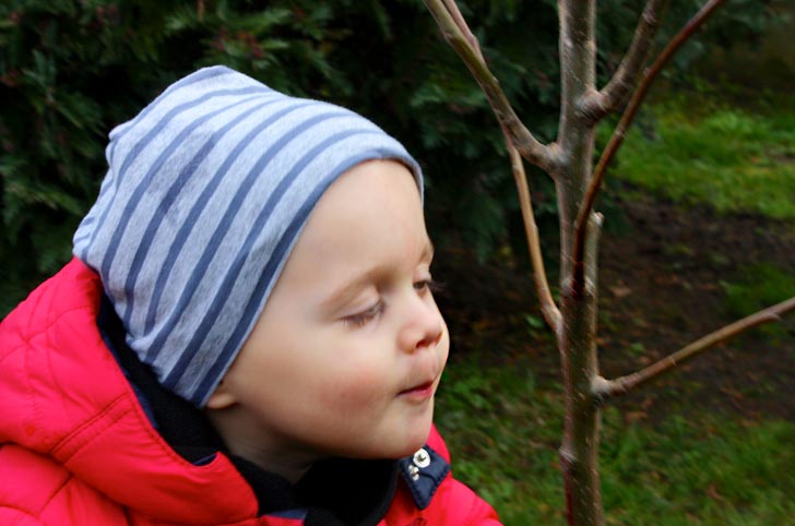 Von Ribbeck reloaded - Tageskinder pflanzen einen Birnbaum! TiQ! Kindertagespflege in Braunschweig Querum, Nicole Appel und Antje Storek – Kindertagespflege, Tagesmutter und Großtagespflege für Braunschweig Querum, Gliesmarode, Riddagshausen, Östliches Ringgebiet, Volkmarode, Bienrode, Waggum, Hondelage, Schuntersiedlung, Kralenriede, Dibbesdorf, Schwarzer Berg, Siegfriedviertel, Nordstadt und Schapen