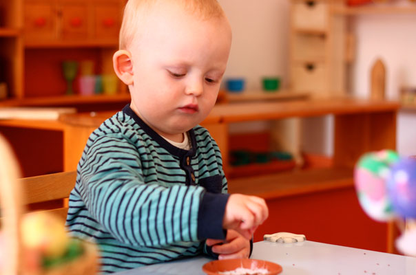 Tageskinder säen Osterkresse! TiQ! Kindertagespflege in Braunschweig Querum, Nicole Appel und Antje Storek – Kindertagespflege, Tagesmutter und Großtagespflege für Braunschweig Querum, Gliesmarode, Riddagshausen, Östliches Ringgebiet, Volkmarode, Bienrode, Waggum, Hondelage, Schuntersiedlung, Kralenriede, Dibbesdorf, Schwarzer Berg, Siegfriedviertel, Nordstadt und Schapen