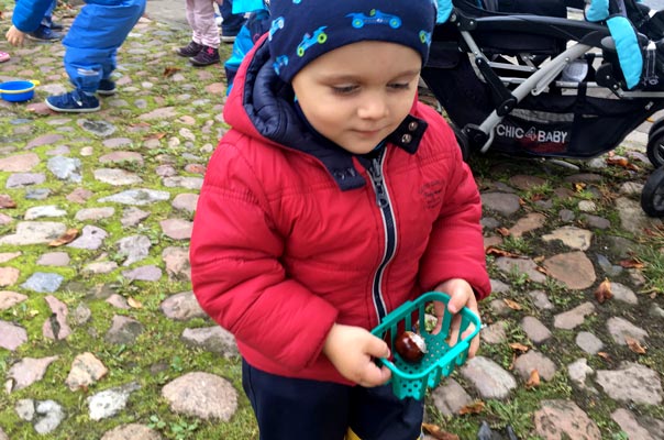 Tageskinder und Tagesmütter sammeln Kastanien! TiQ! Kindertagespflege in Braunschweig Querum, Nicole Appel und Antje Storek – Kindertagespflege, Tagesmutter und Großtagespflege für Braunschweig Querum, Gliesmarode, Riddagshausen, Östliches Ringgebiet, Volkmarode, Bienrode, Waggum, Hondelage, Schuntersiedlung, Kralenriede, Dibbesdorf, Schwarzer Berg, Siegfriedviertel, Nordstadt und Schapen