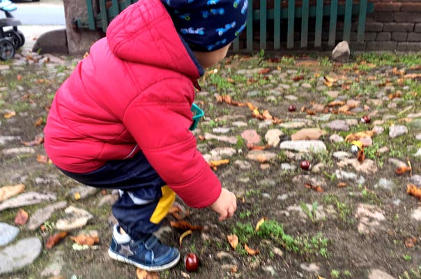 Tageskinder und Tagesmütter sammeln Kastanien! TiQ! Kindertagespflege in Braunschweig Querum, Nicole Appel und Antje Storek – Kindertagespflege, Tagesmutter und Großtagespflege für Braunschweig Querum, Gliesmarode, Riddagshausen, Östliches Ringgebiet, Volkmarode, Bienrode, Waggum, Hondelage, Schuntersiedlung, Kralenriede, Dibbesdorf, Schwarzer Berg, Siegfriedviertel, Nordstadt und Schapen