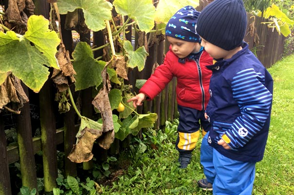 Tageskinder und Tagesmütter sammeln Kastanien! TiQ! Kindertagespflege in Braunschweig Querum, Nicole Appel und Antje Storek – Kindertagespflege, Tagesmutter und Großtagespflege für Braunschweig Querum, Gliesmarode, Riddagshausen, Östliches Ringgebiet, Volkmarode, Bienrode, Waggum, Hondelage, Schuntersiedlung, Kralenriede, Dibbesdorf, Schwarzer Berg, Siegfriedviertel, Nordstadt und Schapen