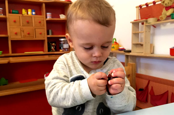 Tageskinder und Tagesmütter basteln mit Kastanien! TiQ! Kindertagespflege in Braunschweig Querum, Nicole Appel und Antje Storek – Kindertagespflege, Tagesmutter und Großtagespflege für Braunschweig Querum, Gliesmarode, Riddagshausen, Östliches Ringgebiet, Volkmarode, Bienrode, Waggum, Hondelage, Schuntersiedlung, Kralenriede, Dibbesdorf, Schwarzer Berg, Siegfriedviertel, Nordstadt und Schapen