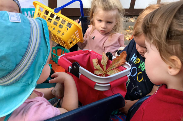 Hello Herbst - Tageskinder sammeln Kastanien! TiQ! Kindertagespflege in Braunschweig Querum, Nicole Appel und Antje Storek – Kindertagespflege, Tagesmutter und Großtagespflege für Braunschweig Querum, Gliesmarode, Riddagshausen, Östliches Ringgebiet, Volkmarode, Bienrode, Waggum, Hondelage, Schuntersiedlung, Kralenriede, Dibbesdorf, Schwarzer Berg, Siegfriedviertel, Nordstadt und Schapen