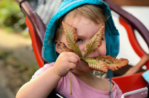 Hello Herbst - Tageskinder sammeln Kastanien! TiQ! Kindertagespflege in Braunschweig Querum, Nicole Appel und Antje Storek – Kindertagespflege, Tagesmutter und Großtagespflege für Braunschweig Querum, Gliesmarode, Riddagshausen, Östliches Ringgebiet, Volkmarode, Bienrode, Waggum, Hondelage, Schuntersiedlung, Kralenriede, Dibbesdorf, Schwarzer Berg, Siegfriedviertel, Nordstadt und Schapen