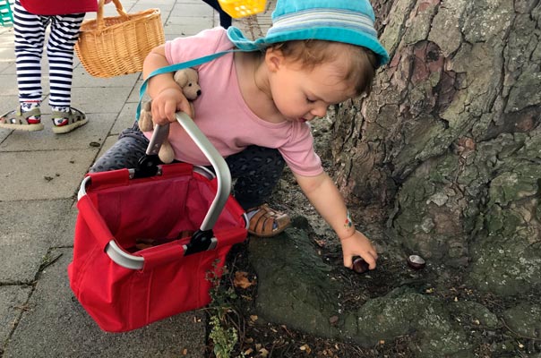 Hello Herbst - Tageskinder sammeln Kastanien! TiQ! Kindertagespflege in Braunschweig Querum, Nicole Appel und Antje Storek – Kindertagespflege, Tagesmutter und Großtagespflege für Braunschweig Querum, Gliesmarode, Riddagshausen, Östliches Ringgebiet, Volkmarode, Bienrode, Waggum, Hondelage, Schuntersiedlung, Kralenriede, Dibbesdorf, Schwarzer Berg, Siegfriedviertel, Nordstadt und Schapen