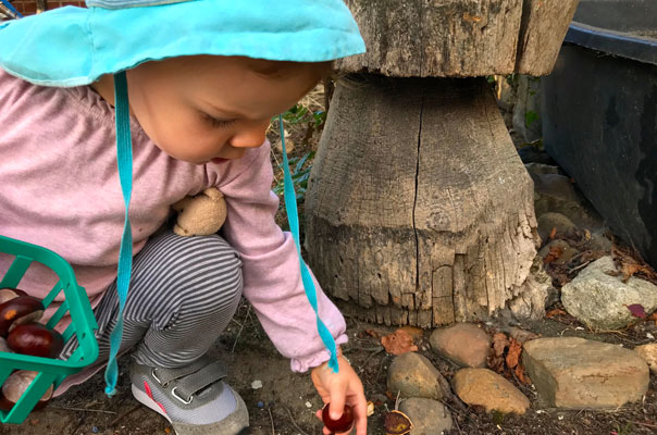 Hello Herbst - Tageskinder sammeln Kastanien! TiQ! Kindertagespflege in Braunschweig Querum, Nicole Appel und Antje Storek – Kindertagespflege, Tagesmutter und Großtagespflege für Braunschweig Querum, Gliesmarode, Riddagshausen, Östliches Ringgebiet, Volkmarode, Bienrode, Waggum, Hondelage, Schuntersiedlung, Kralenriede, Dibbesdorf, Schwarzer Berg, Siegfriedviertel, Nordstadt und Schapen