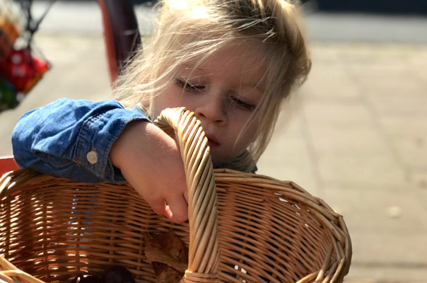 Hello Herbst - Tageskinder sammeln Kastanien! TiQ! Kindertagespflege in Braunschweig Querum, Nicole Appel und Antje Storek – Kindertagespflege, Tagesmutter und Großtagespflege für Braunschweig Querum, Gliesmarode, Riddagshausen, Östliches Ringgebiet, Volkmarode, Bienrode, Waggum, Hondelage, Schuntersiedlung, Kralenriede, Dibbesdorf, Schwarzer Berg, Siegfriedviertel, Nordstadt und Schapen