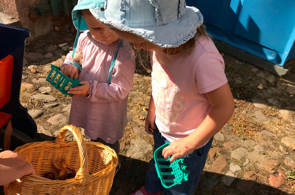 Hello Herbst - Tageskinder sammeln Kastanien! TiQ! Kindertagespflege in Braunschweig Querum, Nicole Appel und Antje Storek – Kindertagespflege, Tagesmutter und Großtagespflege für Braunschweig Querum, Gliesmarode, Riddagshausen, Östliches Ringgebiet, Volkmarode, Bienrode, Waggum, Hondelage, Schuntersiedlung, Kralenriede, Dibbesdorf, Schwarzer Berg, Siegfriedviertel, Nordstadt und Schapen