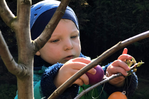 Eins, zwei, drei ... Tageskinder schmücken den Osteierbaum! TiQ! Kindertagespflege in Braunschweig Querum, Nicole Appel und Antje Storek – Kindertagespflege, Tagesmutter und Großtagespflege für Braunschweig Querum, Gliesmarode, Riddagshausen, Östliches Ringgebiet, Volkmarode, Bienrode, Waggum, Hondelage, Schuntersiedlung, Kralenriede, Dibbesdorf, Schwarzer Berg, Siegfriedviertel, Nordstadt und Schapen