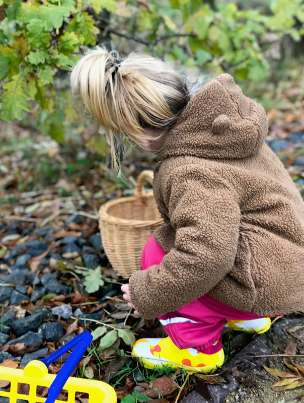 Auf dem Zauberweg. Tageskinder sammeln Blätter. TiG! Kindertagespflege in Braunschweig Gliesmarode, Nicole Appel und Antje Storek – Kindertagespflege, Tagesmutter und Großtagespflege für Braunschweig Gliesmarode, Querum, Riddagshausen, Östliches Ringgebiet, Volkmarode, Bienrode, Waggum, Hondelage, Schuntersiedlung, Kralenriede, Dibbesdorf, Schwarzer Berg, Siegfriedviertel, Nordstadt und Schapen