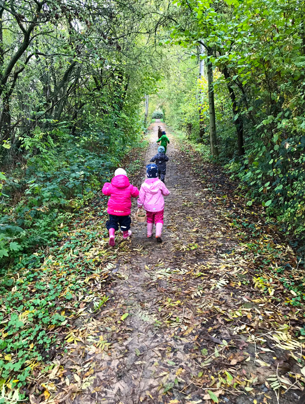 Auf dem Zauberweg. Tageskinder sammeln Blätter. TiG! Kindertagespflege in Braunschweig Gliesmarode, Nicole Appel und Antje Storek – Kindertagespflege, Tagesmutter und Großtagespflege für Braunschweig Gliesmarode, Querum, Riddagshausen, Östliches Ringgebiet, Volkmarode, Bienrode, Waggum, Hondelage, Schuntersiedlung, Kralenriede, Dibbesdorf, Schwarzer Berg, Siegfriedviertel, Nordstadt und Schapen