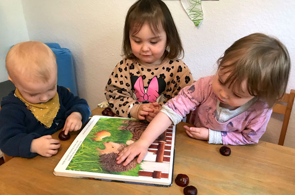 Pieksige Metamorphose! Tageskinder basteln Kastanienigel. TiG! Kindertagespflege in Braunschweig Gliesmarode, Nicole Appel und Antje Storek – Kindertagespflege, Tagesmutter und Großtagespflege für Braunschweig Gliesmarode, Querum, Riddagshausen, Östliches Ringgebiet, Volkmarode, Bienrode, Waggum, Hondelage, Schuntersiedlung, Kralenriede, Dibbesdorf, Schwarzer Berg, Siegfriedviertel, Nordstadt und Schapen