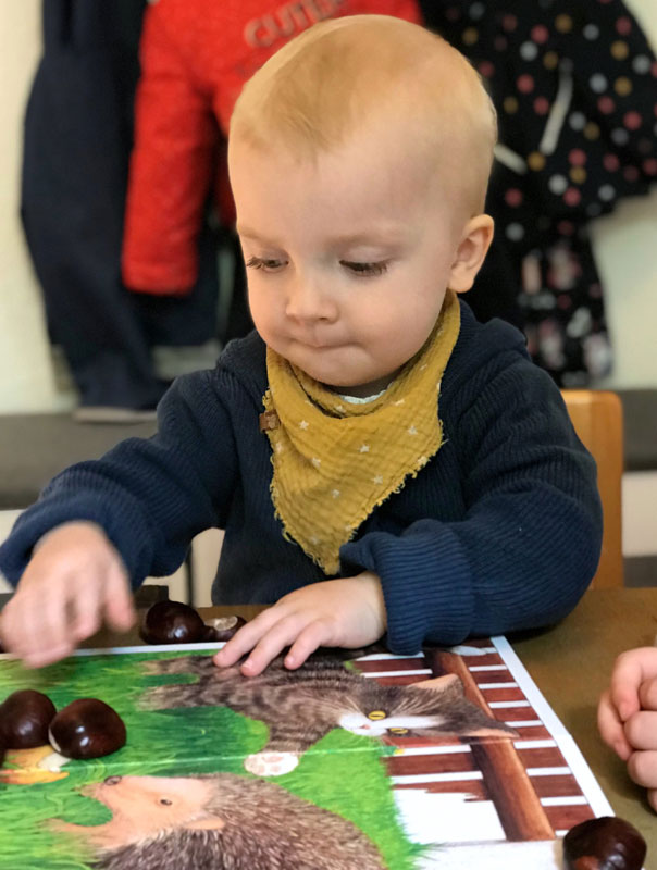 Pieksige Metamorphose! Tageskinder basteln Kastanienigel. TiG! Kindertagespflege in Braunschweig Gliesmarode, Nicole Appel und Antje Storek – Kindertagespflege, Tagesmutter und Großtagespflege für Braunschweig Gliesmarode, Querum, Riddagshausen, Östliches Ringgebiet, Volkmarode, Bienrode, Waggum, Hondelage, Schuntersiedlung, Kralenriede, Dibbesdorf, Schwarzer Berg, Siegfriedviertel, Nordstadt und Schapen