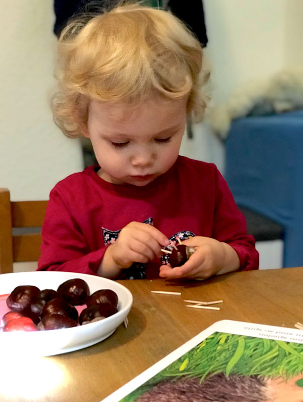 Pieksige Metamorphose! Tageskinder basteln Kastanienigel. TiG! Kindertagespflege in Braunschweig Gliesmarode, Nicole Appel und Antje Storek – Kindertagespflege, Tagesmutter und Großtagespflege für Braunschweig Gliesmarode, Querum, Riddagshausen, Östliches Ringgebiet, Volkmarode, Bienrode, Waggum, Hondelage, Schuntersiedlung, Kralenriede, Dibbesdorf, Schwarzer Berg, Siegfriedviertel, Nordstadt und Schapen