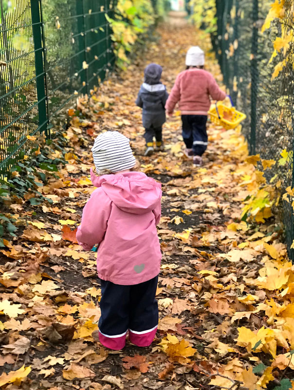 Bunt, bunter – Herbst! Tageskinder machen einen Herbstausflug. TiG! Kindertagespflege in Braunschweig Gliesmarode, Nicole Appel und Antje Storek – Kindertagespflege, Tagesmutter und Großtagespflege für Braunschweig Gliesmarode, Querum, Riddagshausen, Östliches Ringgebiet, Volkmarode, Bienrode, Waggum, Hondelage, Schuntersiedlung, Kralenriede, Dibbesdorf, Schwarzer Berg, Siegfriedviertel, Nordstadt und Schapen