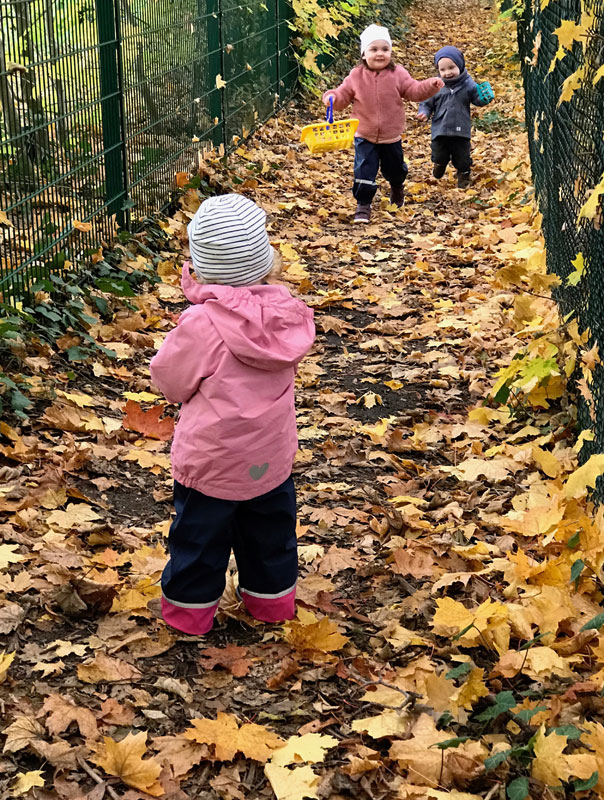 Bunt, bunter – Herbst! Tageskinder machen einen Herbstausflug. TiG! Kindertagespflege in Braunschweig Gliesmarode, Nicole Appel und Antje Storek – Kindertagespflege, Tagesmutter und Großtagespflege für Braunschweig Gliesmarode, Querum, Riddagshausen, Östliches Ringgebiet, Volkmarode, Bienrode, Waggum, Hondelage, Schuntersiedlung, Kralenriede, Dibbesdorf, Schwarzer Berg, Siegfriedviertel, Nordstadt und Schapen