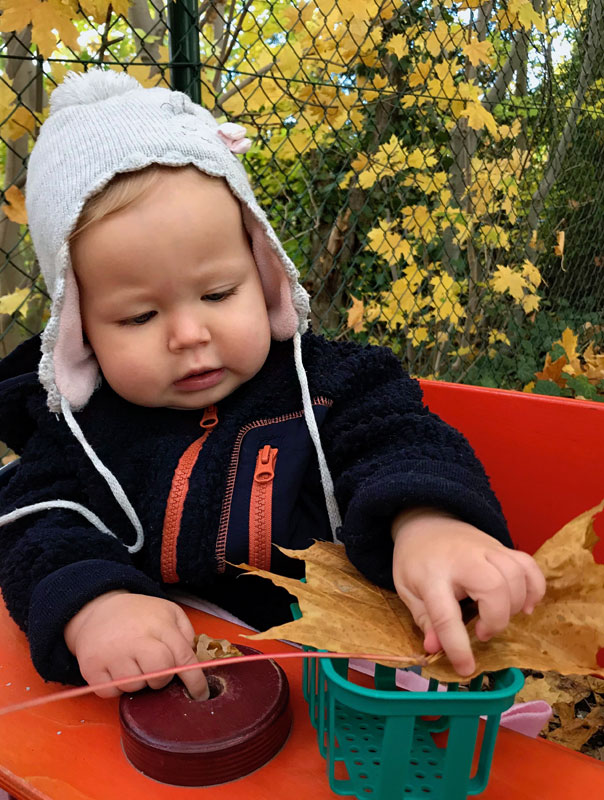 Bunt, bunter – Herbst! Tageskinder machen einen Herbstausflug. TiG! Kindertagespflege in Braunschweig Gliesmarode, Nicole Appel und Antje Storek – Kindertagespflege, Tagesmutter und Großtagespflege für Braunschweig Gliesmarode, Querum, Riddagshausen, Östliches Ringgebiet, Volkmarode, Bienrode, Waggum, Hondelage, Schuntersiedlung, Kralenriede, Dibbesdorf, Schwarzer Berg, Siegfriedviertel, Nordstadt und Schapen