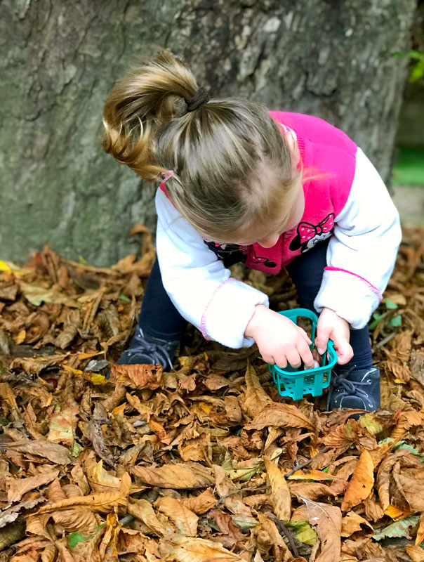 Ki-Ka-Kastaniensammeln! Tageskinder sammeln Kastanien. TiG! Kindertagespflege in Braunschweig Gliesmarode Nicole Appel – Kindertagespflege und Tagesmutter für Braunschweig Gliesmarode, Querum, Riddagshausen, Östliches Ringgebiet, Volkmarode, Bienrode, Waggum, Hondelage, Schuntersiedlung, Kralenriede, Dibbesdorf, Schwarzer Berg, Siegfriedviertel, Nordstadt und Schapen