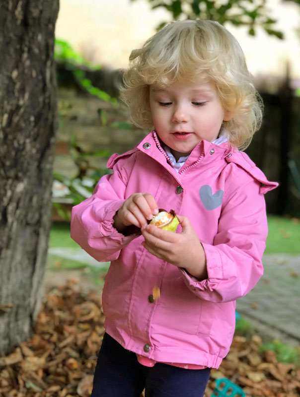 Ki-Ka-Kastaniensammeln! Tageskinder sammeln Kastanien. TiG! Kindertagespflege in Braunschweig Gliesmarode Nicole Appel – Kindertagespflege und Tagesmutter für Braunschweig Gliesmarode, Querum, Riddagshausen, Östliches Ringgebiet, Volkmarode, Bienrode, Waggum, Hondelage, Schuntersiedlung, Kralenriede, Dibbesdorf, Schwarzer Berg, Siegfriedviertel, Nordstadt und Schapen