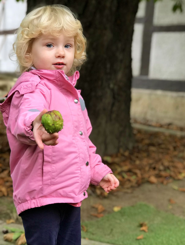 Ki-Ka-Kastaniensammeln! Tageskinder sammeln Kastanien. TiG! Kindertagespflege in Braunschweig Gliesmarode Nicole Appel – Kindertagespflege und Tagesmutter für Braunschweig Gliesmarode, Querum, Riddagshausen, Östliches Ringgebiet, Volkmarode, Bienrode, Waggum, Hondelage, Schuntersiedlung, Kralenriede, Dibbesdorf, Schwarzer Berg, Siegfriedviertel, Nordstadt und Schapen