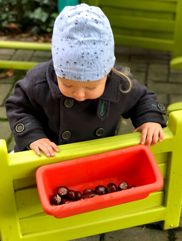 Ki-Ka-Kastaniensammeln! Tageskinder sammeln Kastanien. TiG! Kindertagespflege in Braunschweig Gliesmarode Nicole Appel – Kindertagespflege und Tagesmutter für Braunschweig Gliesmarode, Querum, Riddagshausen, Östliches Ringgebiet, Volkmarode, Bienrode, Waggum, Hondelage, Schuntersiedlung, Kralenriede, Dibbesdorf, Schwarzer Berg, Siegfriedviertel, Nordstadt und Schapen