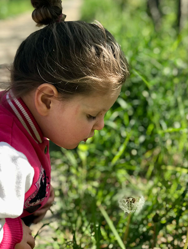 Puuusteblumentag! Tageskinder pusten Pusteblumen. TiG! Kindertagespflege in Braunschweig Gliesmarode Nicole Appel – Kindertagespflege, Krippe und Tagesmutter für Braunschweig Gliesmarode, Querum, Riddagshausen, Östliches Ringgebiet, Volkmarode, Bienrode, Waggum, Hondelage, Schuntersiedlung, Kralenriede, Dibbesdorf, Schwarzer Berg, Siegfriedviertel, Nordstadt und Schapen